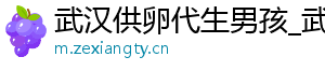 武汉供卵代生男孩_武汉代生双胞胎_武汉供卵公司	